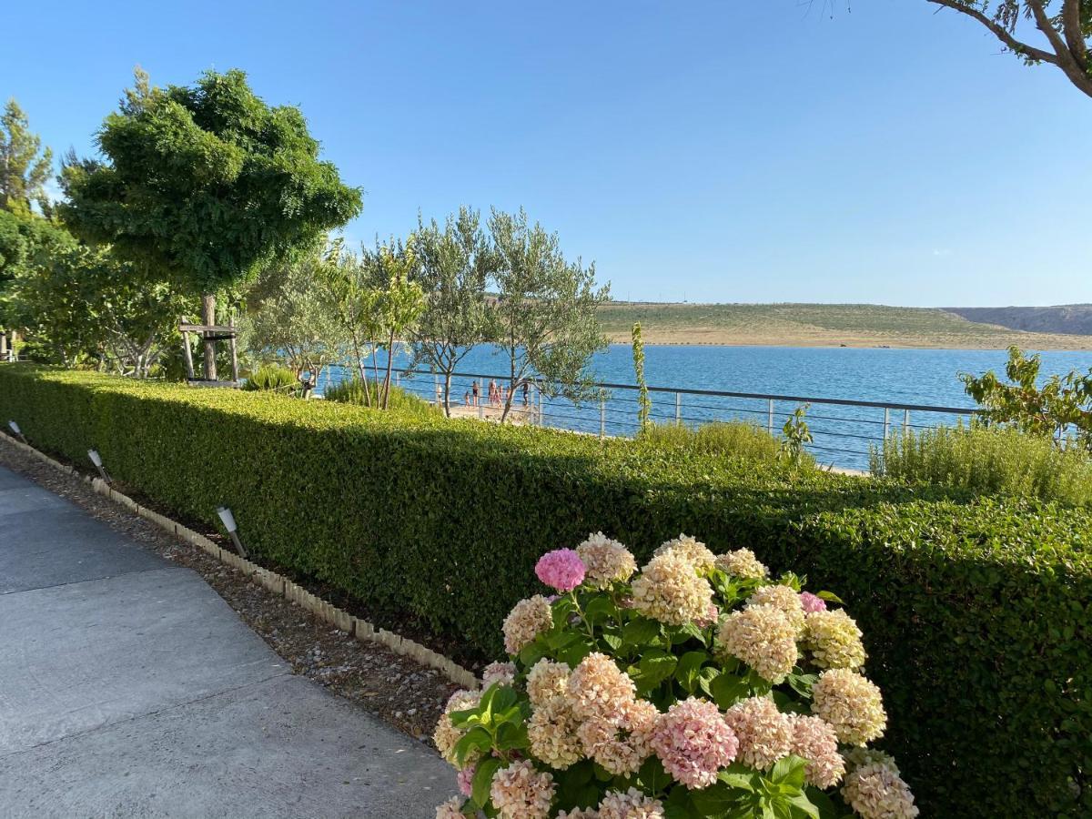Villa Punta Rovanjska Esterno foto